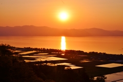 琵琶湖と水田の夕日　Ⅰ