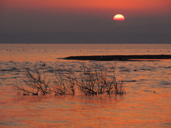 夕暮れの鳰の海