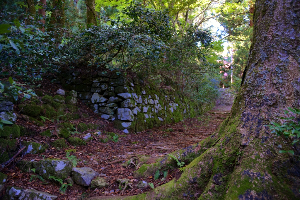 菅山寺参道