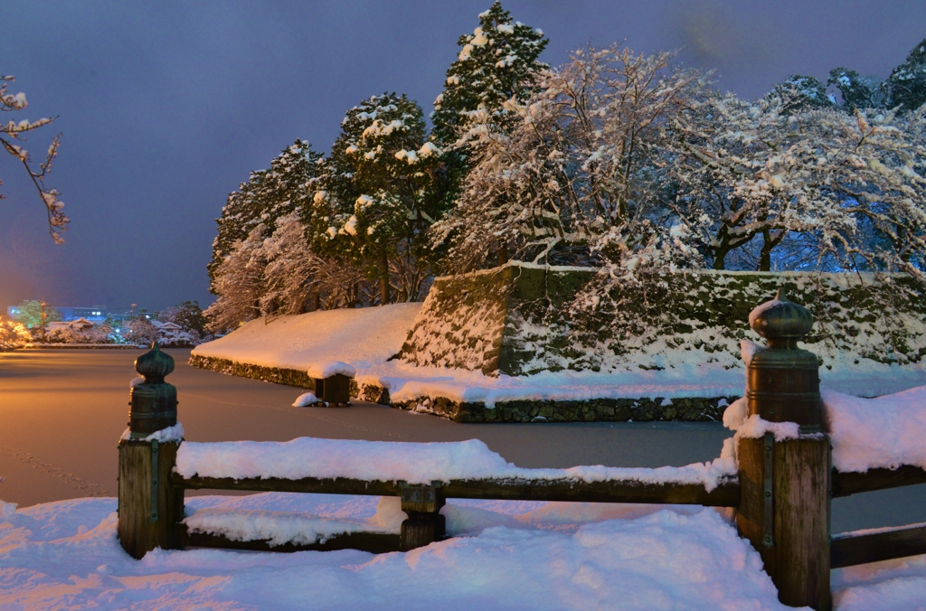 雪夜景・彦根城　Ⅶ