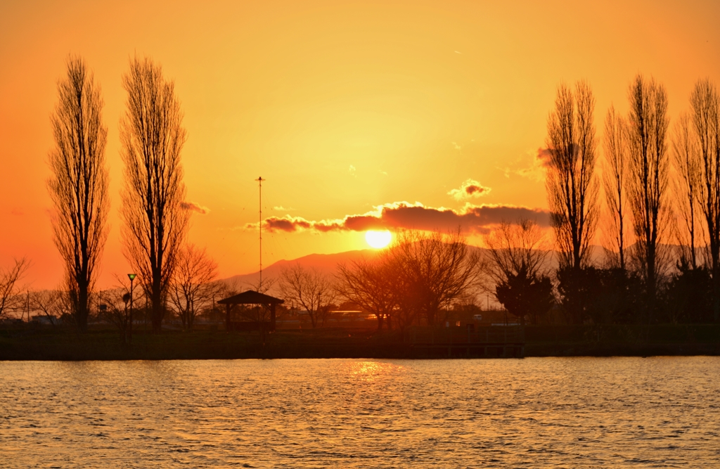 野田沼春夕日