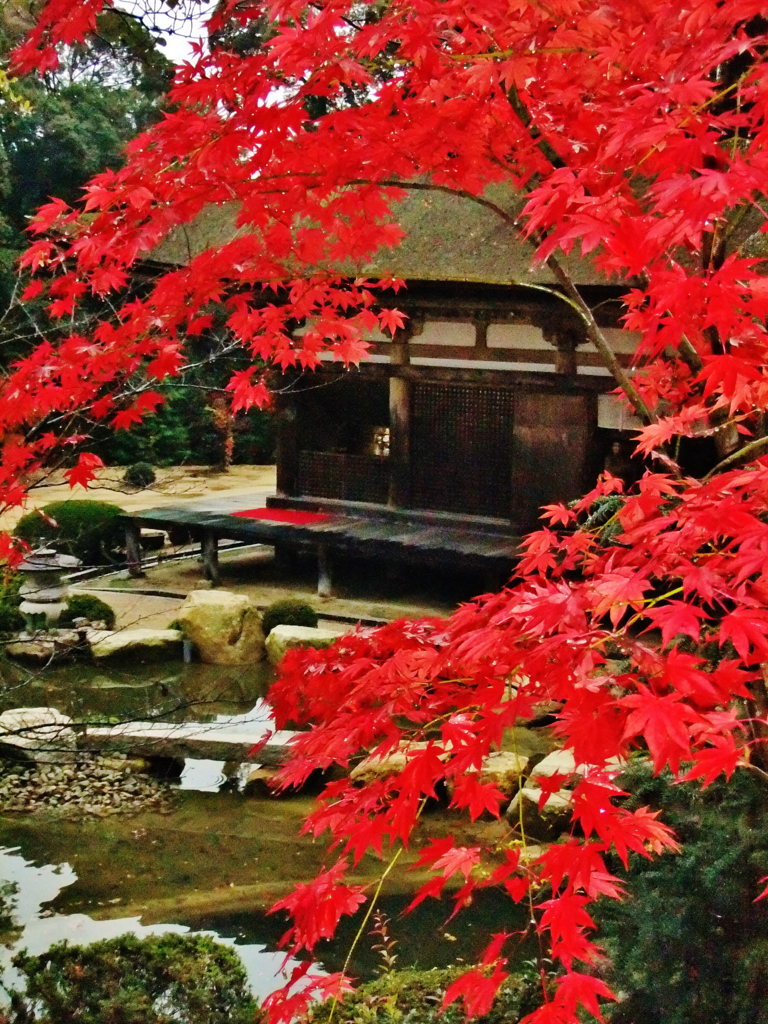 紅葉の舞(湖南三山善水寺）