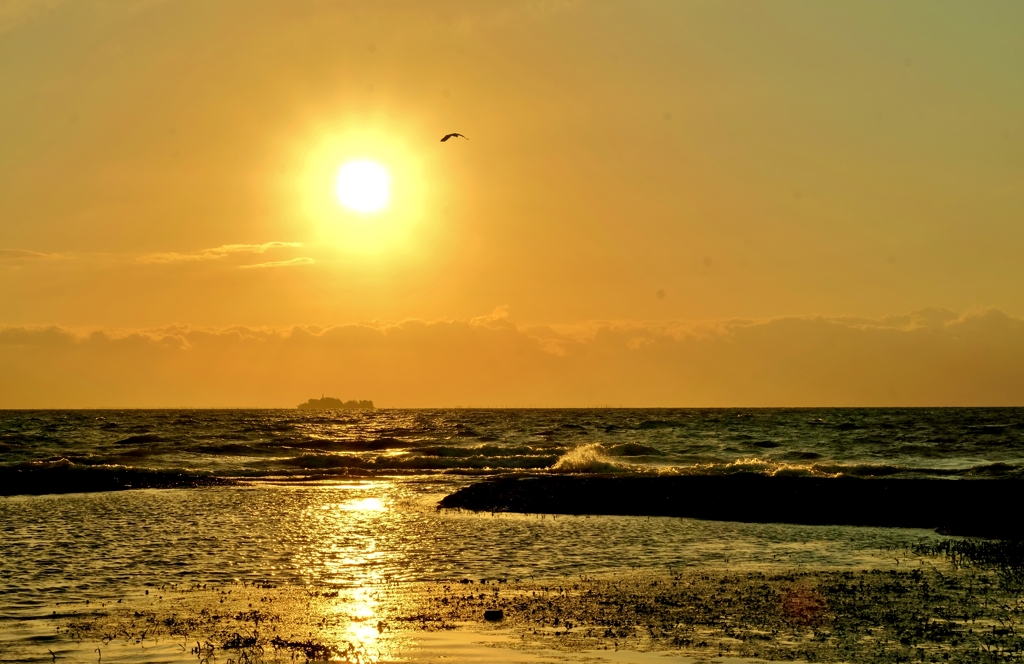 芹川河口夕景　Ⅰ