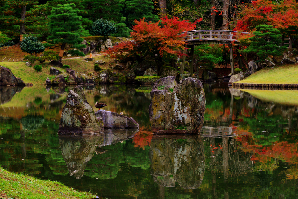 玄宮園秋景