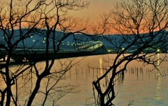 夕暮れ樹影の琵琶湖大橋