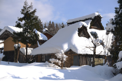 里山の冬