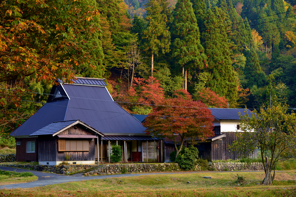 山里の秋　Ⅰ