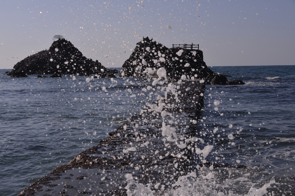 波花飛沫