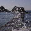 波花飛沫