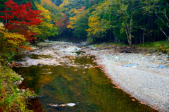 川面の秋