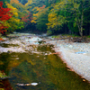 川面の秋
