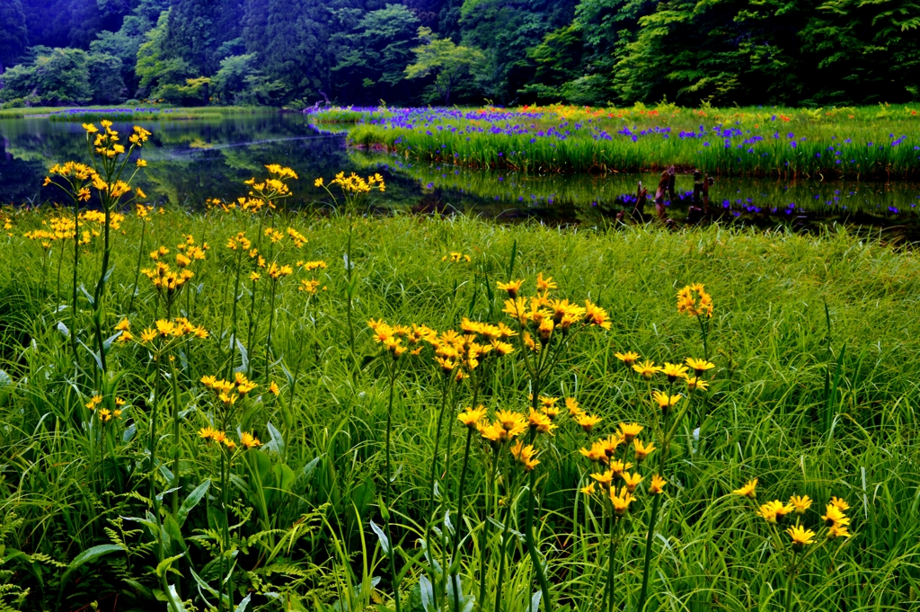 残春の平池