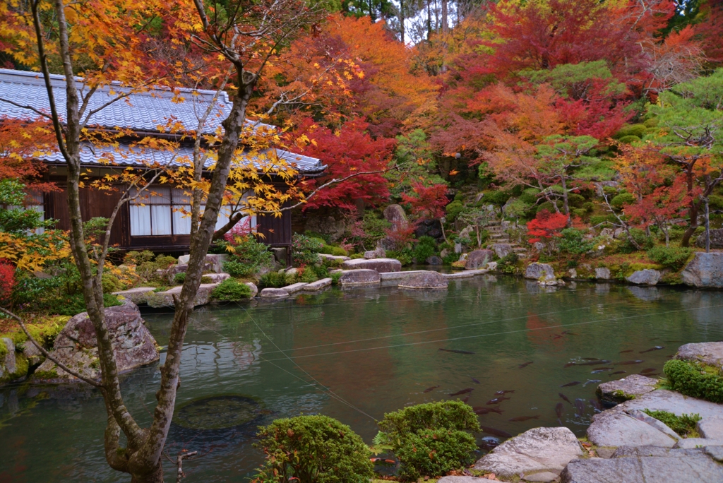 湖東三山百済寺　本坊（喜見院庭園）　14