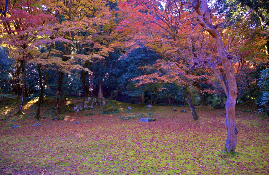 近江孤蓬庵　秋散歩枯山水庭園　13-5