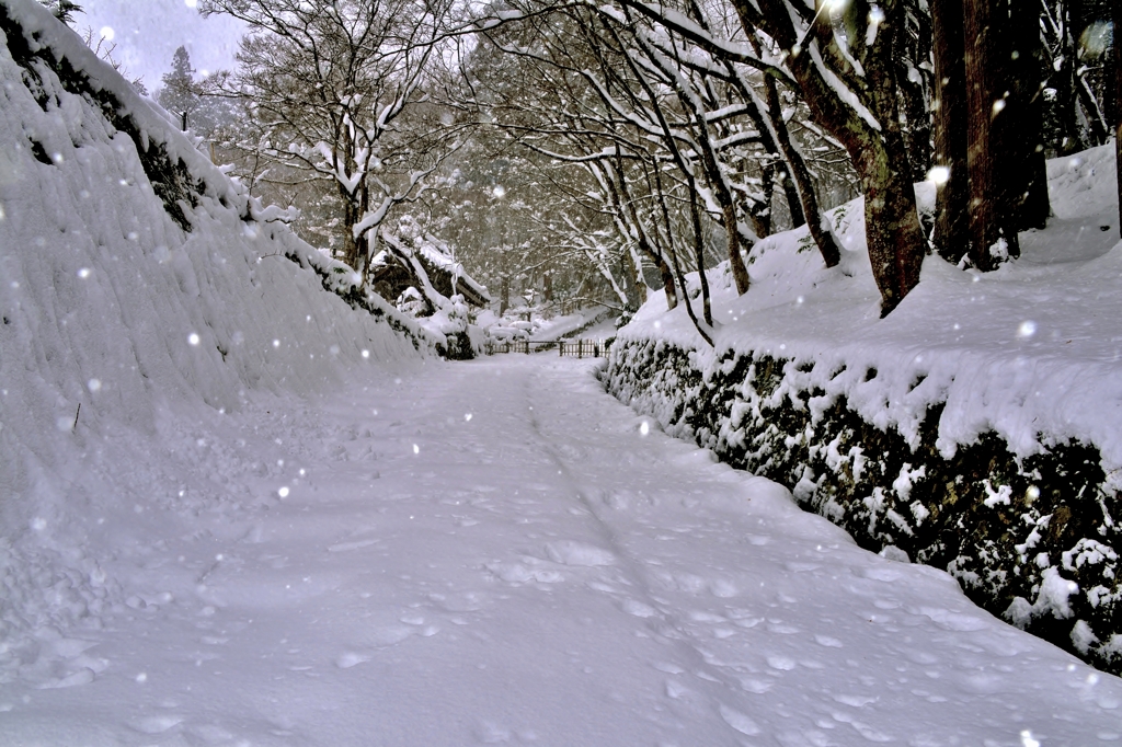 湖東三山百済寺　雪参道