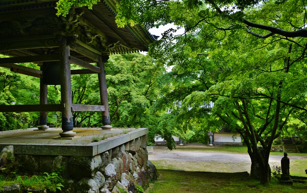 新緑の古刹東光寺　Ⅵ