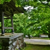 新緑の古刹東光寺　Ⅵ