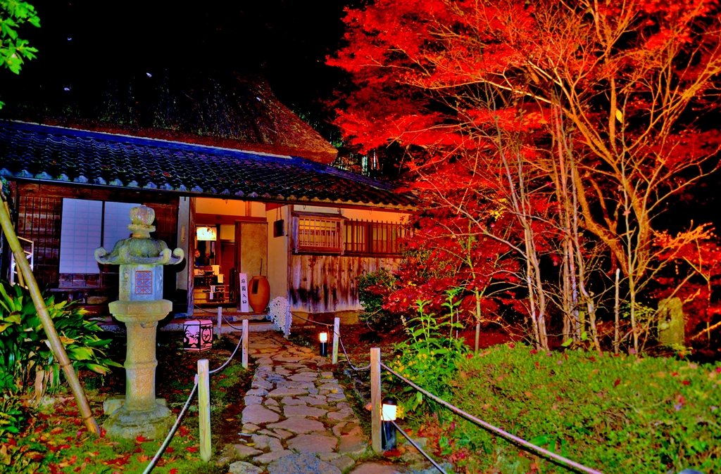 教林坊紅葉ライトアップ　Ⅱ