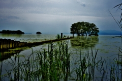 水無月の湖北水景　2-2