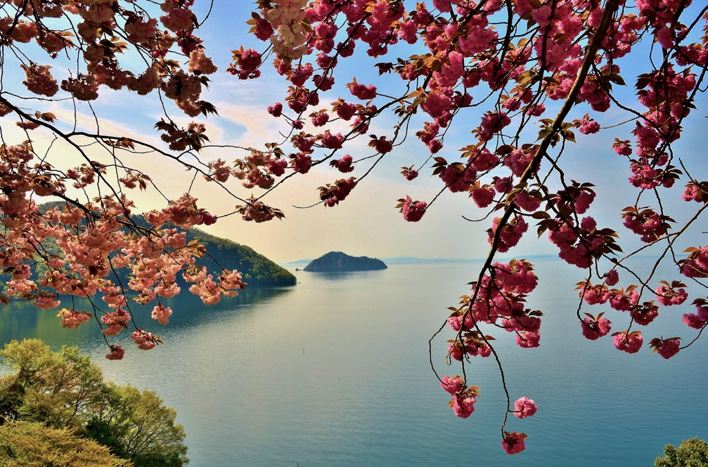 奥琵琶湖の春　1