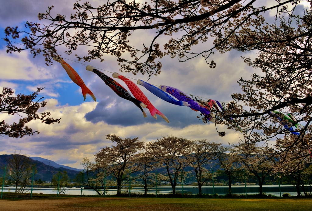 余呉の空泳ぐ鯉のぼり