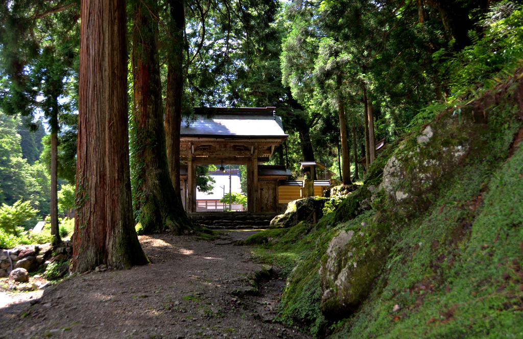 洞寿院 余呉　3－1
