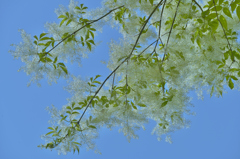 青空に・・・