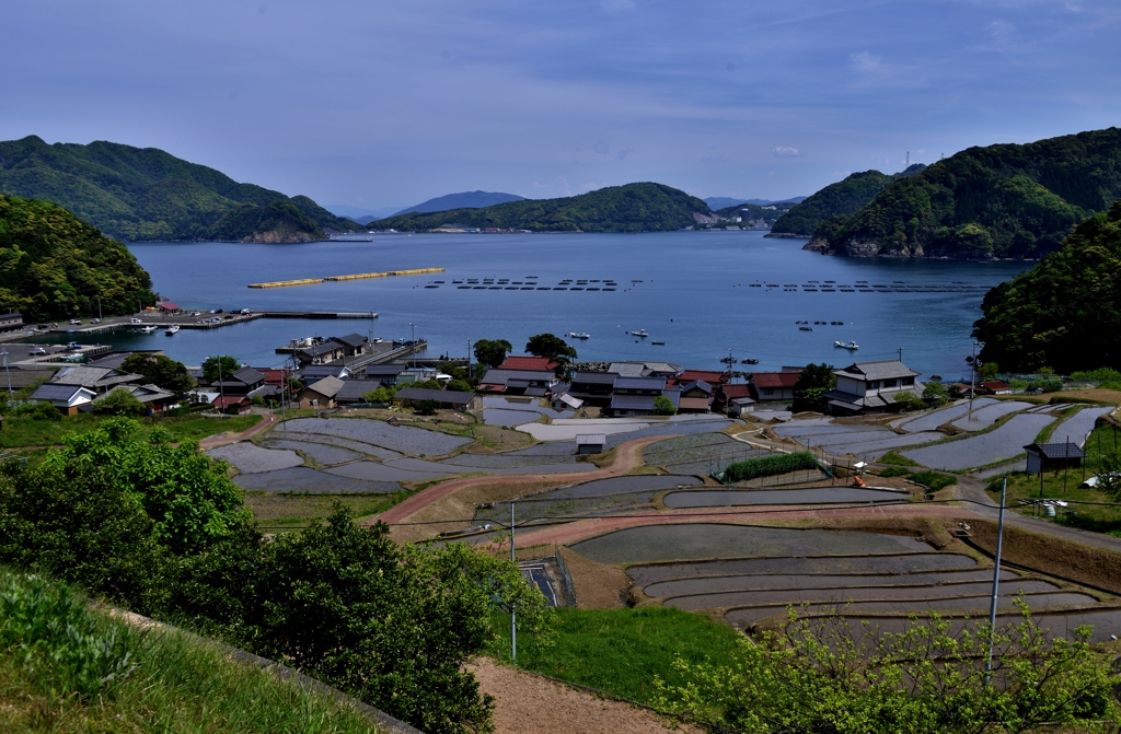 日引の棚田