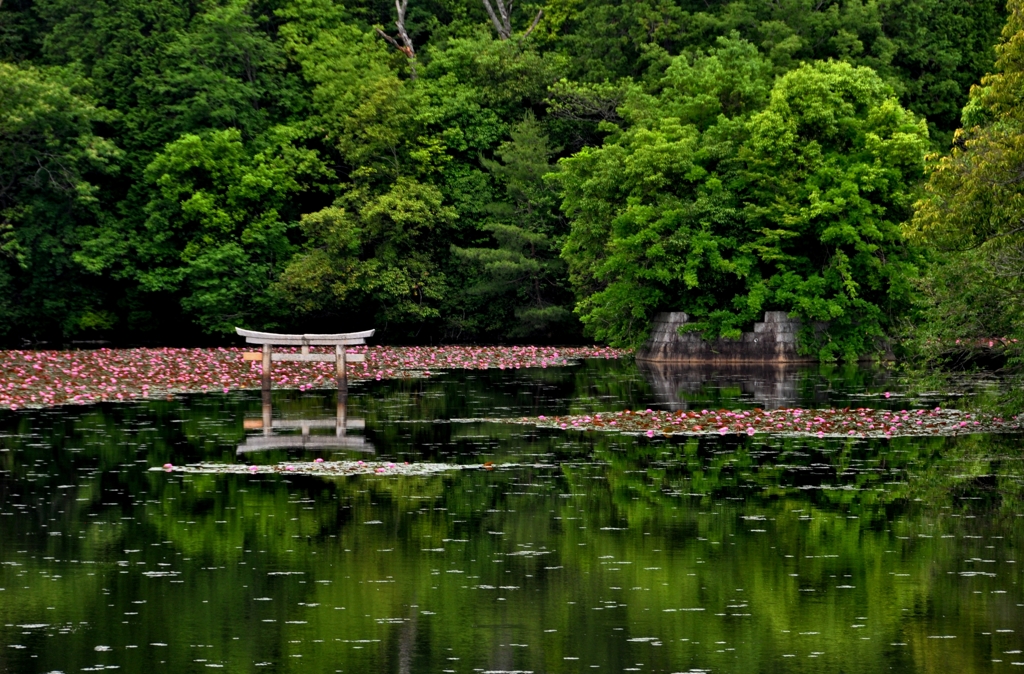 弁天島と沈み鳥居