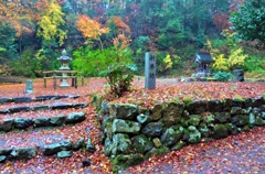 鶏足寺新井坊跡