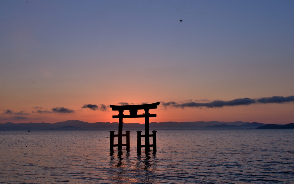 beeaking dawn