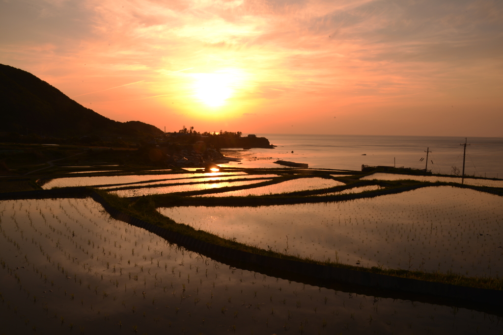 袖志の棚田夕日