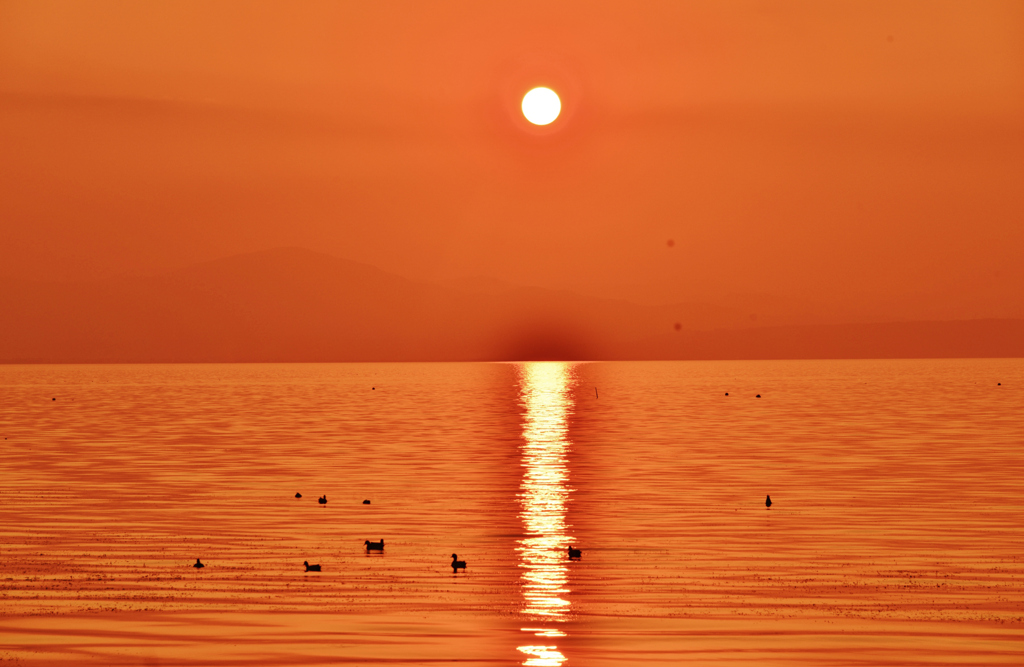 夕陽を浴びて