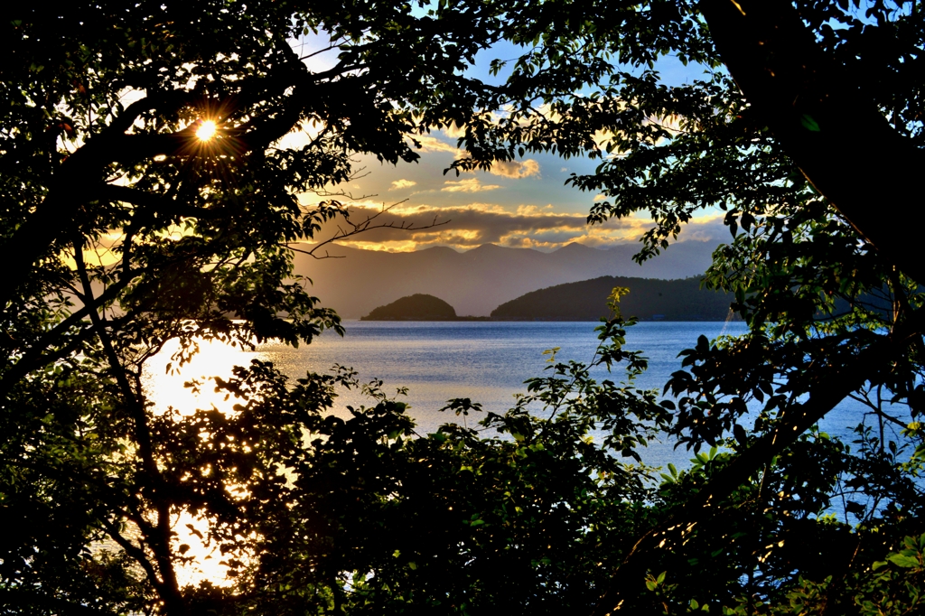 沖島樹影