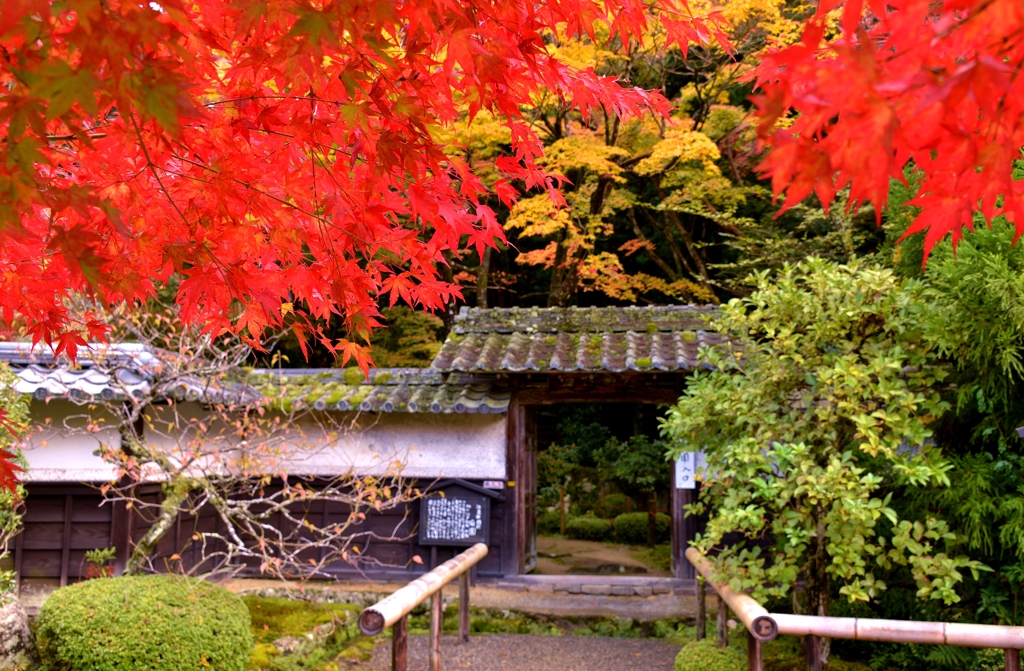 秋ブラ散歩金剛輪寺　2