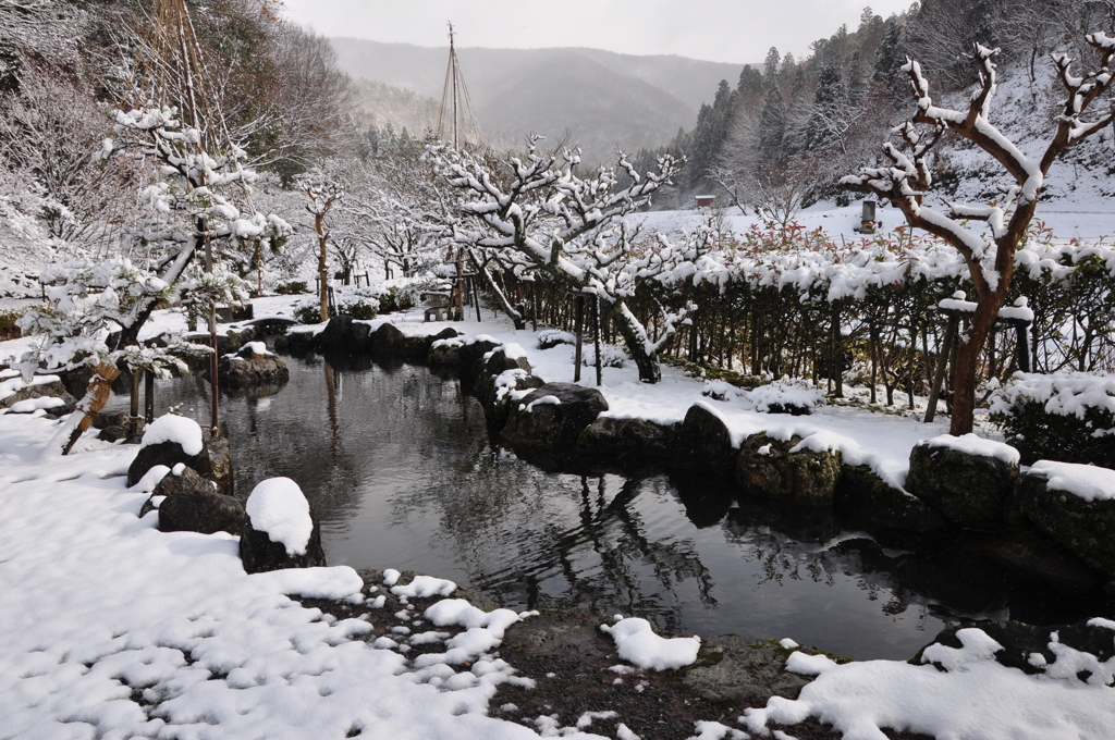 池の雪景