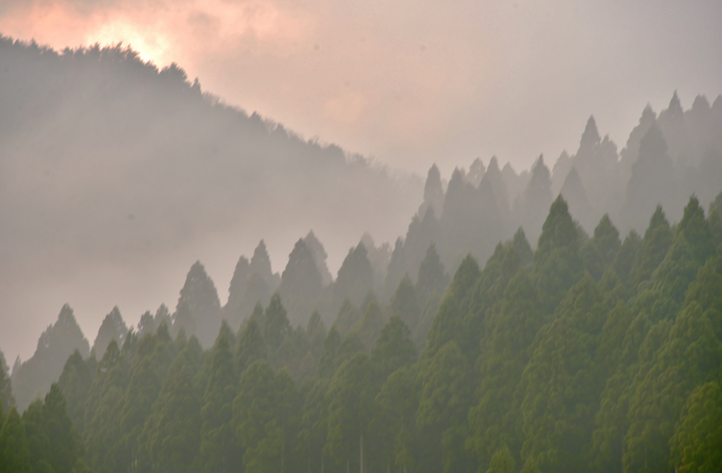 山間の霧
