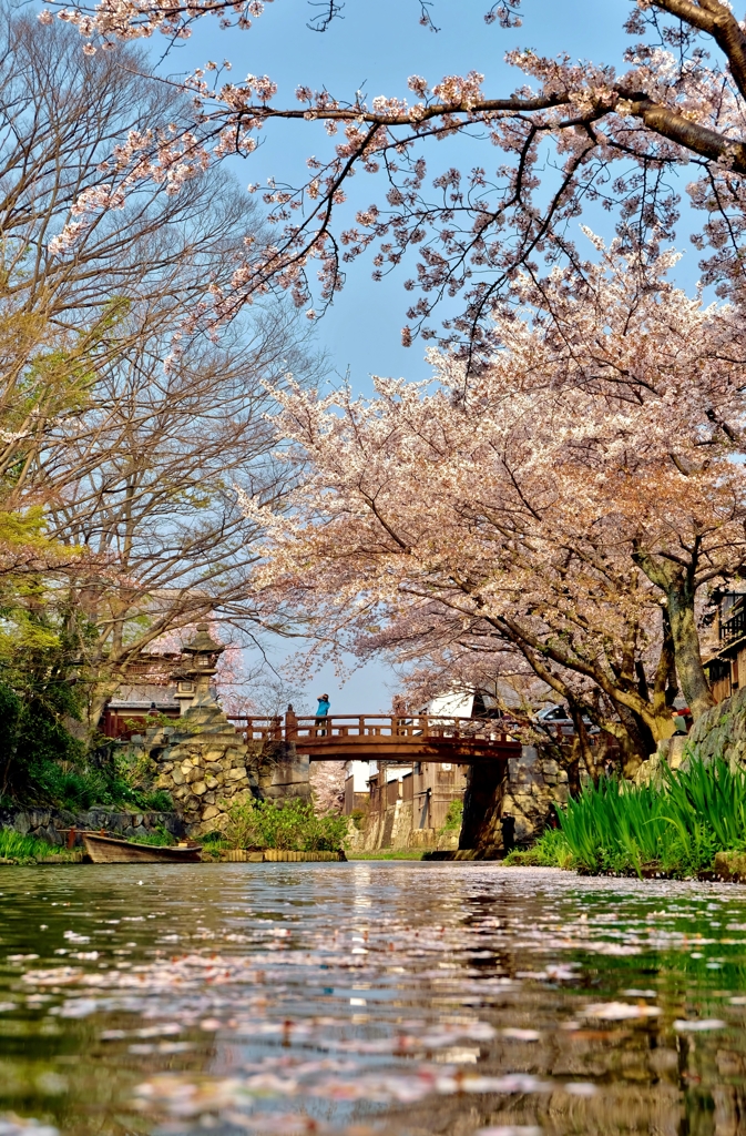 八幡堀春景