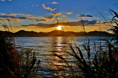 西の湖　夕日