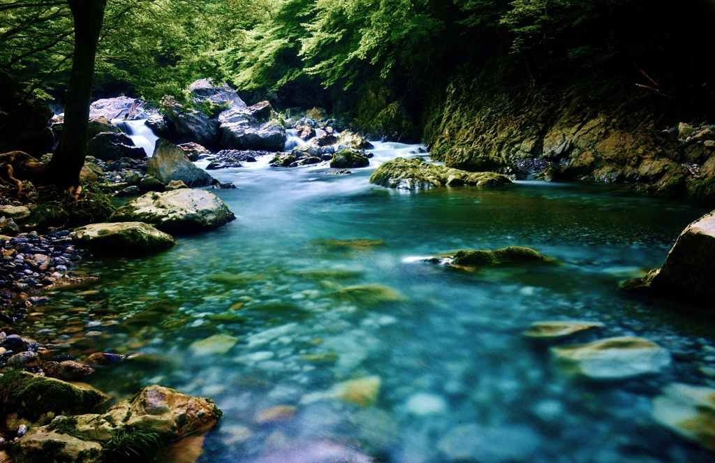 芹川渓流