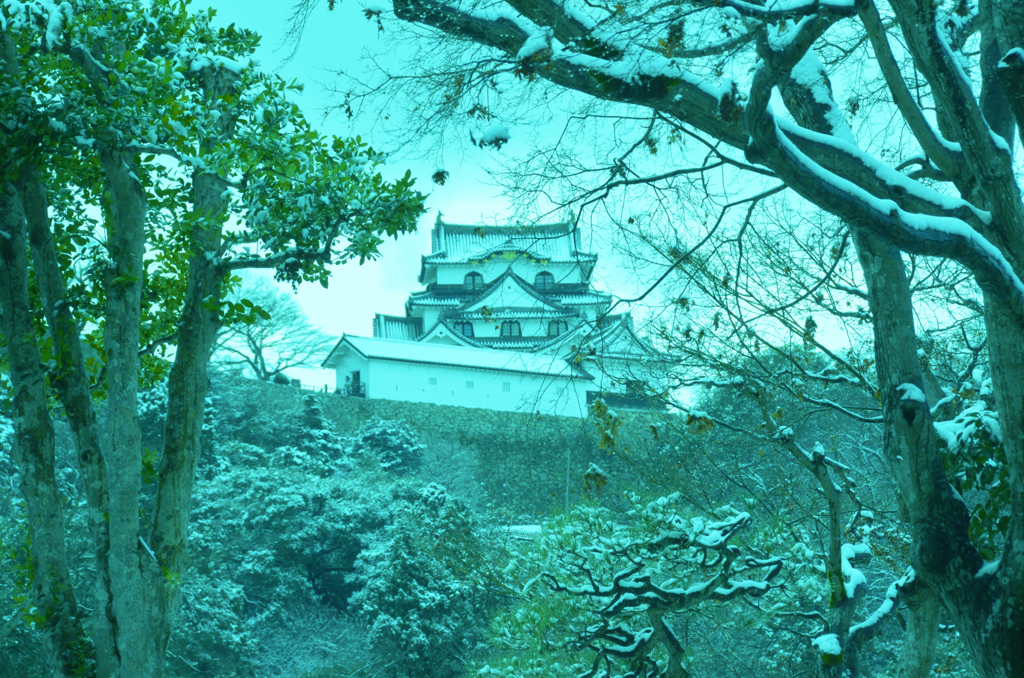 彦根城雪景色
