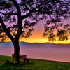 夕暮れの「あのベンチ」