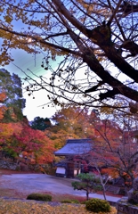 色づく秋夕暮れ