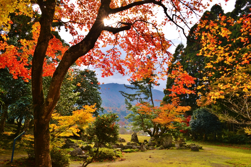 近江湖西の朽木の名刹興聖寺の晩秋　Ⅰ