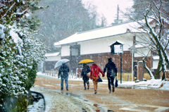 雪の城下