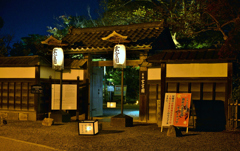 大名庭園玄宮園ライトアップ　8-1