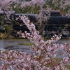 SL廃墟桜　Ⅵ