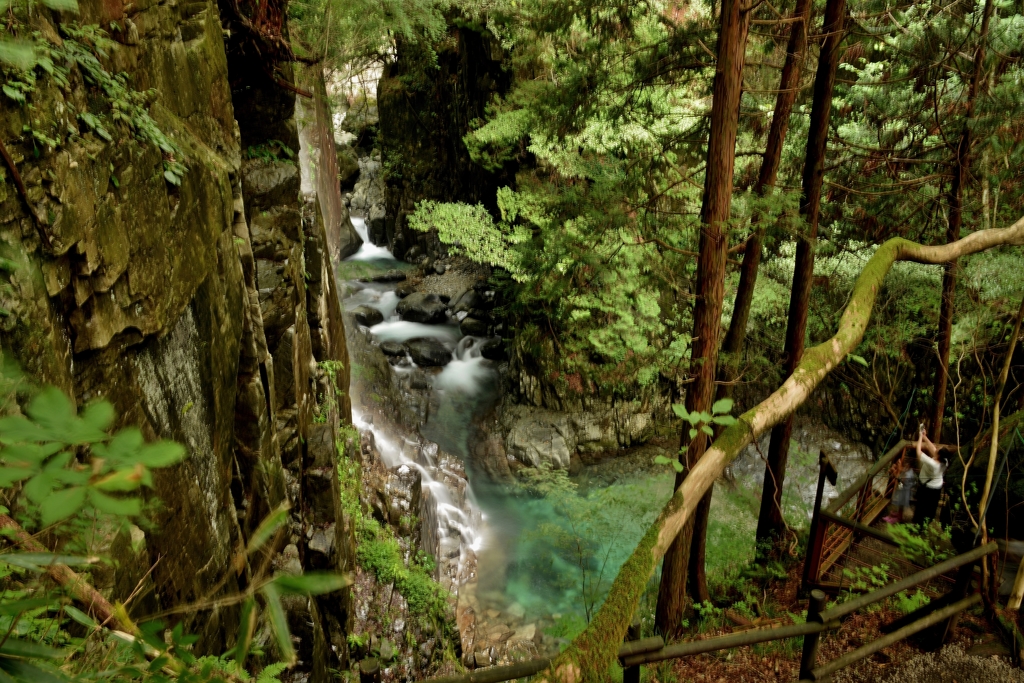 付知峡・花の森　
