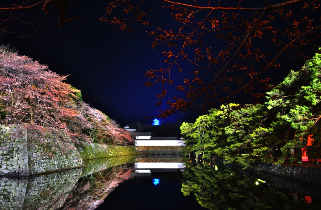 花冷えの濠端