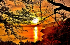 晩秋の奥琵琶湖の夕日